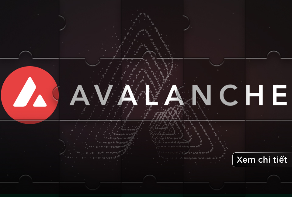 Activity trên Avalanche tăng lên với hơn sáu triệu địa chỉ ví